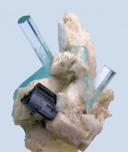 Beryl, tourmaline (schorl?), albite
Shengus, Haramosh Mountains, Skardu, Gilgit-Baltistan, Pakistan
67 mm x 44 mm

Front view (Author: Carles Millan)