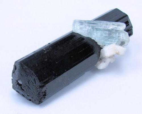 Schorl, beryl, feldspar, mica, garnet
Nyet, Shigar Valley, Skardu District, Baltistan, Gilgit-Baltistan, Pakistan
Schorl crystal size: 79 mm long, 19 mm wide. Weight: 68 g

The other tip (Author: Carles Millan)