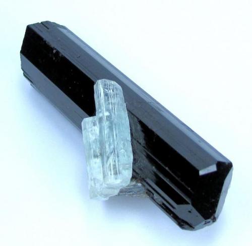 Schorl, beryl, feldspar, mica, garnet
Nyet, Shigar Valley, Skardu District, Baltistan, Gilgit-Baltistan, Pakistan
Schorl crystal size: 79 mm long, 19 mm wide. Weight: 68 g

One tip (Author: Carles Millan)