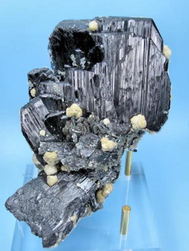 Ferberite, siderite, calcite
Panasqueira Mines, Level 3, Panasqueira, Covilhã, Castelo Branco District, Portugal
105 mm x 70 mm. Main ferberite crystal: 55 mm wide (Author: Carles Millan)