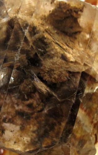 Calcite, Inclusions, Detail. Size of the Calcite Crystal: 4.7x5x3.7 cm (Author: José Miguel)