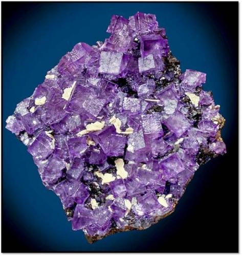 Fluorite on Sphalerite from Elmwood, TN (ex. Revelle collection). Measures 20 x 18 x 6 cm and weighs 1000 grams. (Author: VRigatti)