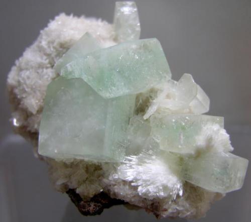 06012010GreenApopholiteOnHeulanditeWMordenite.jpg (Author: Gordian)