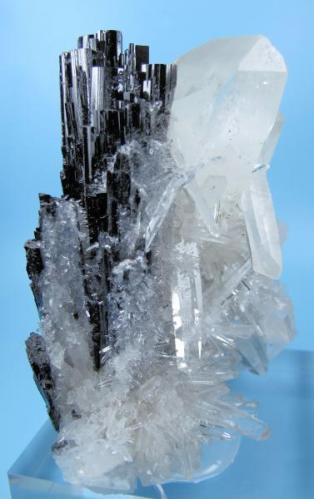 Hübnerite, quartz
Huayllapon mine, Pasto Bueno, Pallasca, Ancash, Peru
115 mm x 103 mm. Hübnerite longest crystal: 80 mm tall. Main quartz crystal: 115 mm long (Author: Carles Millan)