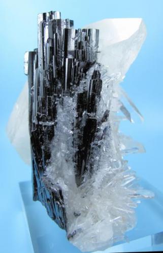Hübnerite, quartz
Huayllapon mine, Pasto Bueno, Pallasca, Ancash, Peru
115 mm x 103 mm. Hübnerite longest crystal: 80 mm tall. Main quartz crystal: 115 mm long (Author: Carles Millan)
