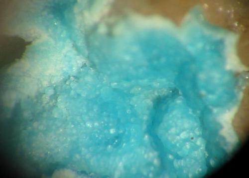Blue mansfieldite on quartz from Himmelfahrt mine, Neubulach, Black Forest, Baden-Wurttemberg. (Author: Andreas Gerstenberg)