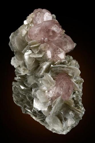 Apatite on Muscovite

Mt. Xuebaoding
Pingwu County, Mianyang Prefecture, Sichuan Province
China
9.2 x 5.5 x 3.3 cm (Author: GneissWare)