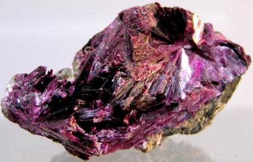 A very nice example of Erythrite Shaft 1
Bou Azzer Ouarzazate Province
Morocco

Size: 5.8 x 3.5 x 3.3 cm
Weight: 70 g (Author: Gordian)