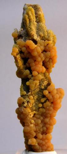 Mimetite from Haus Baden Mine Badenweiler Schwarzwald (Black Forest) Germany

Size: 7.6 x 2.3 x 1.7 cm
Weight: 17.5 g (Author: Gordian)