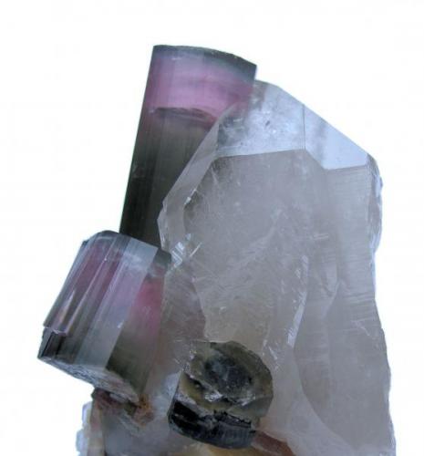 Elbaite, quartz, mica, albite?
Himalaya Mine, Gem Hill, Mesa Grande District, San Diego Co., California, USA
65 mm x 57 mm x 50 mm. Main elbaite crystal: 45 mm tall, 13 mm wide (Author: Carles Millan)