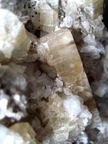 The longest topaz crystal (~ 25 mm) on this specimen. (Author: Tobi)