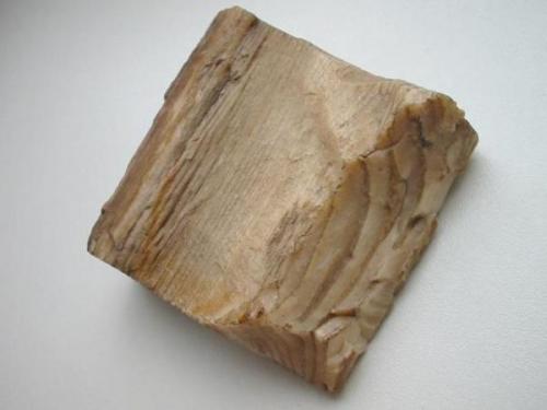 Opale is a kind of rarity from the Freiberg district, Erzgebirge, Saxony. The picture shows an 18th century find from the Sonnenwirbel Fundgrube (a rather small mine that was later consolidated with the famous Himmelsfürst mine). 6,5 cm so-called wood opale with label dating by 1780-1810. (Author: Andreas Gerstenberg)