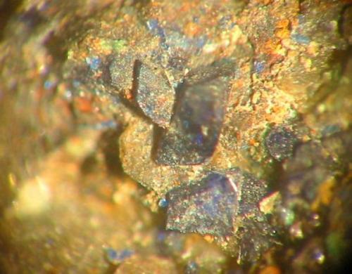 Little blue azurite crystals (1 mm each) from the Theodor im Rammelsberg mine, Muldenhütten, Freiberg, Erzgebirge. Again a local rarity! (Author: Andreas Gerstenberg)