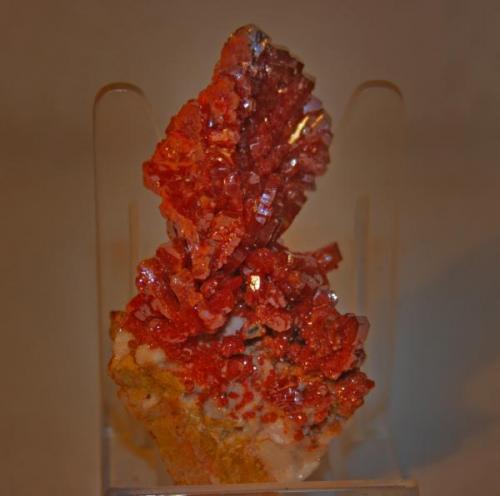 Vanadinita
6.0 x 3.5 x 2 cm.
ACF Mine (incl. Coud’a shaft; Coudia shaft), Mibladene (Mibladen; Mibladan; Miblanden), Midelt, Khénifra Province, Meknès-Tafilalet Region, Morocco (Autor: fjtaguas)