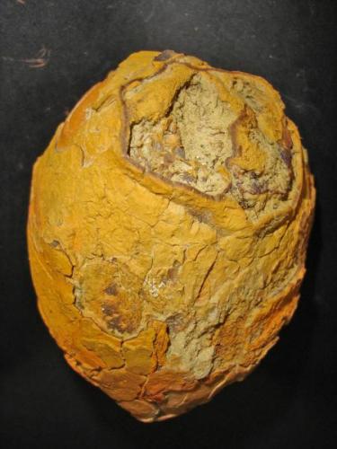 Nodulo de Goethita limonitizada. ( 8 cm aprox) . Medina Sidonia. Cádiz

Se les llama localmente cajas sorpresa, porque al estar huecas por dentro en ocasiones tienen restos de arcilla o cristales que suenan como un sonajero al agitar las piezas. (Autor: nimfiara)