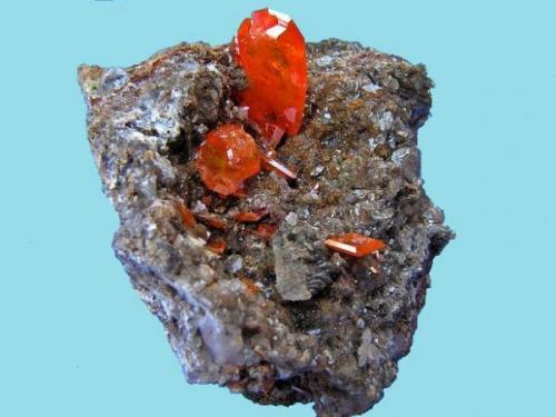 Wulfenita.
Mina Red Cloud, La Paz Co., Arizona, EE.UU.
Cristales hasta 1,9 cm. Col. y foto Nacho Gaspar. (Autor: Nacho)