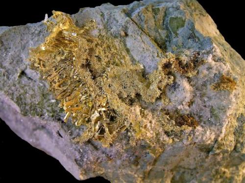 Oro s/Cuarzo.
Mina Olinghouse, Washoe Co., Nevada, EE.UU.
Tamaño de la agrupación de cristales de Oro 5x4 cm. Col. y foto Nacho Gaspar. (Autor: Nacho)