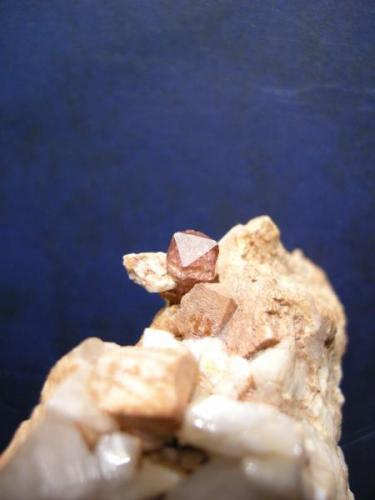 Elbaíta (rubelita)
Estepona - Malaga - Andalucía - España
cristal: 1 cm
detalle (Autor: Diego Navarro)