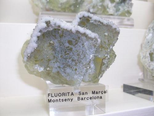 Fluorita
Mines de Sant Marçal, Montseny, Viladrau, Osona, Girona, Catalunya, España 
7x6 cm (Autor: jaume.vilalta)