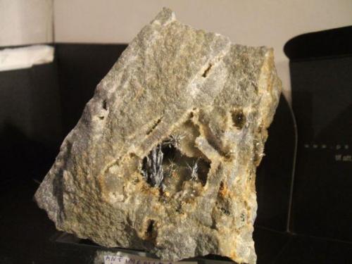 antimonita mina la nazarena almuradiel ciudad real cristales de 15mm.jpg (Autor: Nieves)