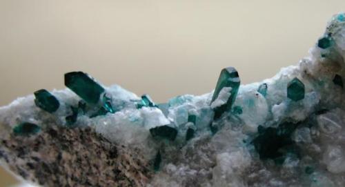 Dioptasa sobre calcita. Cantera Dusmenil. Mal Paso. Cordoba. Argentina.
Tamaño de los cristales 9 mm. (Autor: Jose Luis Otero)