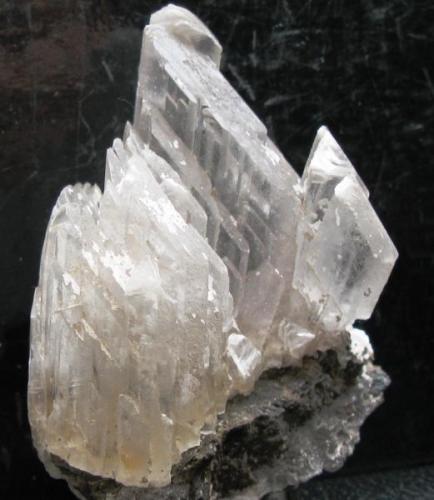 Yeso. Rio Negro. Argentina.
Tamaño 7x5 cm. (Autor: Jose Luis Otero)