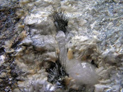 Boulangerita con Galena y Esfalerita.
Mina  Las Simonas, Hinojosas de Calatrava, Valle de Alcudia, Ciudad Real, Castilla La Mancha, España.
Agrupaciones de cristales hasta 0,8 cm. Col. y foto Nacho Gaspar. (Autor: Nacho)