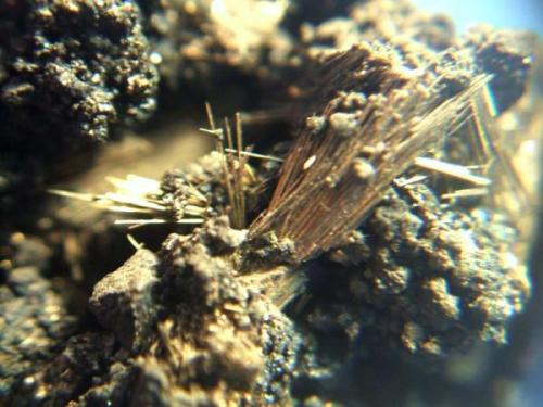 millerita belmut tarragona agujas de 5mm.jpg (Autor: Nieves)