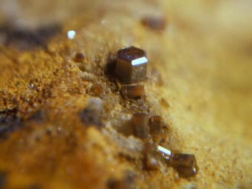 vanadinita lastonares granada cristal de 1mm.jpg (Autor: Nieves)