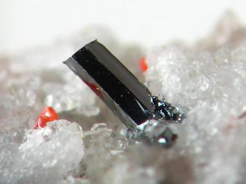 RUTILO. winntal wallis,  cristal de 1 mm.jpg (Autor: josminer)
