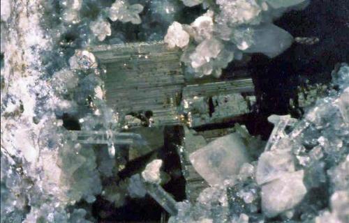 Krennerita c/cuarzo.
Cripple Creek, Teller Co., Colorado, EE.UU.
Cristales hasta 2,5 mm.  Col. Nacho Gaspar, Foto M. de Torres. (Autor: Nacho)