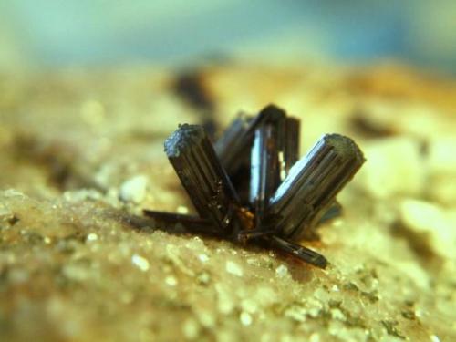 rutilos macael almeria cristales de 8mmm.jpg (Autor: Nieves)