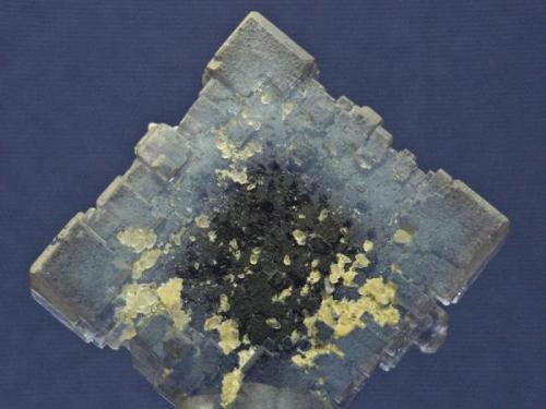 Anverso Fluorita - Berbes (Asturias)
Cristal acabado 3,5 x 3,3 cm. (Autor: El Coleccionista)