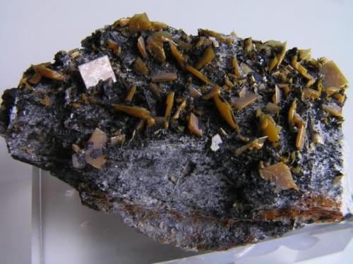 Wulfenita.
Alhama de Granada, Granada, Andalucía, España.
Tamaño de la pieza: 7,5x4,8x2 cm., cristales hasta 7,2 m. Col. y foto Nacho Gaspar. (Autor: Nacho)