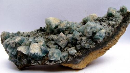 Fluorita
Mina Rogerley. Durban. Inglaterra, UK
Tamaño 16x6 cm. (Autor: Jose Luis Otero)