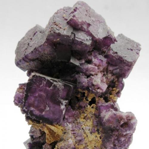 Fluorita. Mina San Martin. Sombrerete. Zacatecas. Mexico.
Tamaño 5x4 cm. (Autor: Jose Luis Otero)