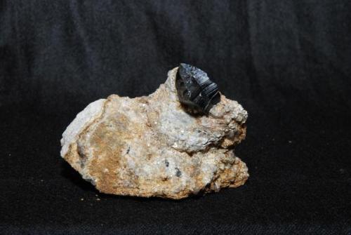 Casiterita, Mina de Penouta, Viana do Bolo, Orense (Galicia). Pieza 12x8 Cristal, 3,2x2cm (Autor: bolesminerales)