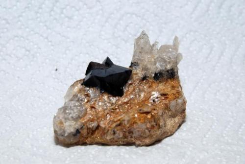 Casiterita, Mina de Penouta, Viana do Bolo, Orense (Galicia).  Pieza 6x4, Cristal 2cm (Autor: bolesminerales)