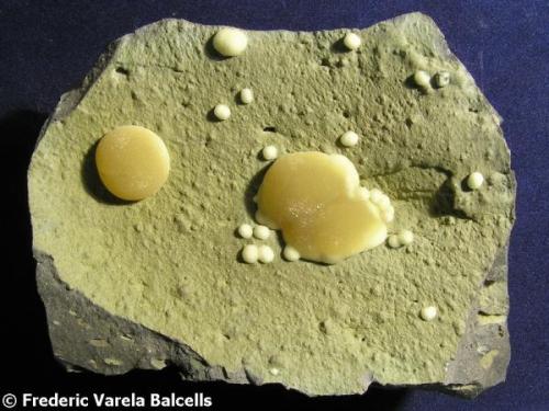 Calcita globular, Cantera Campomorto, Pietra Massa, Montalto di Castro, Viterbo, Italia
12 x 9 x 5 cm. (Autor: Frederic Varela)