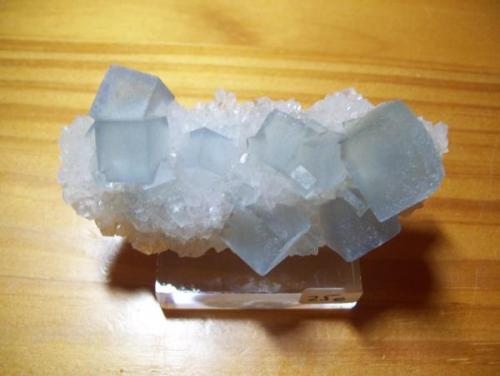 Fluorita - M. Hansonburg, Bingham, Nuevo Mexico, EEUU (7cm x 3cm) (Cristal mayor 1,5cm arista). (Autor: Darío Menéndez)