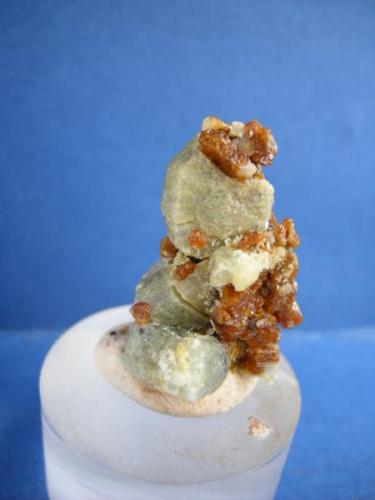 Forsterita
S. de Mijas - Málaga - Andalucía - España
3.2 x 2 cm
cristal 1.5 cm (Autor: Diego 1)