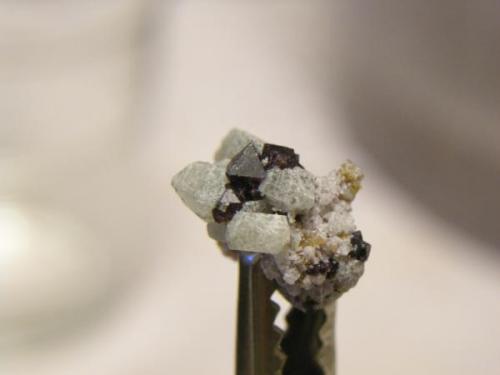 Espinela pleonasto
S. de Mijas - Málaga - Andalucía - España
cristal  0.3 cm + 1.2 cm la forsterita (Autor: Diego 1)
