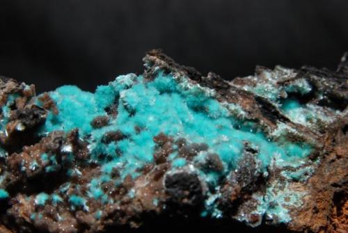 Pieza 10x8, Cristales 5mm (Autor: bolesminerales)