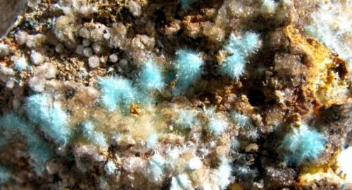 Auricalcita. Mina Nieves. Viernoles. Cantabria.
Cristales de 2/3 mm. (Autor: Jose Luis Otero)