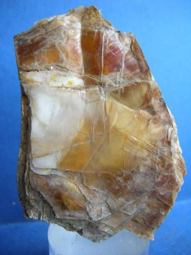 Flogopita
Sierra de Mijas -  Benalmádena - Málaga - Andalucía - España
8 x 6 cm (Autor: Diego Navarro)