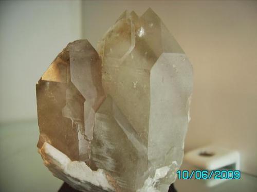 Cuarzo ahumado 
Bustarviejo Madrid
año 2001
cristal más grande 6cms. (Autor: Gelo)