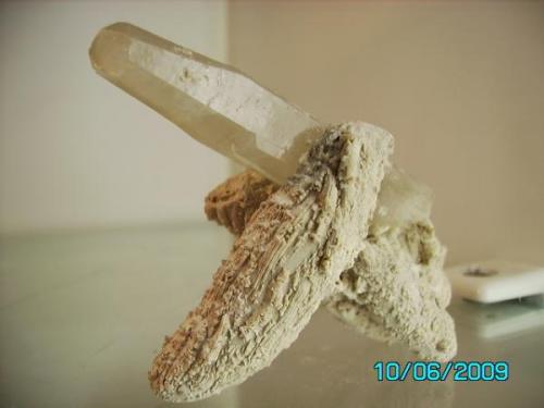 Celestina entre fosiles
Arneva    Alicante
año 2002
cristal de 6cms. (Autor: Gelo)