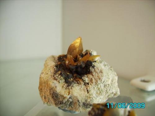 Wulfenita
minas Cortijo del Humo
Albuñuela Granda
año2001
cristal de 1cm. (Autor: Gelo)