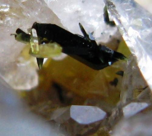 Detalle de la foto anterior.
Cristal de Aegirina 2 mm. (Autor: Jose Luis Otero)