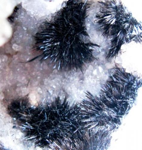 Geoda de cuarzo con cristales de Goethita. ??. Argelia?
Tamaño 5x5 cm. (Autor: Jose Luis Otero)